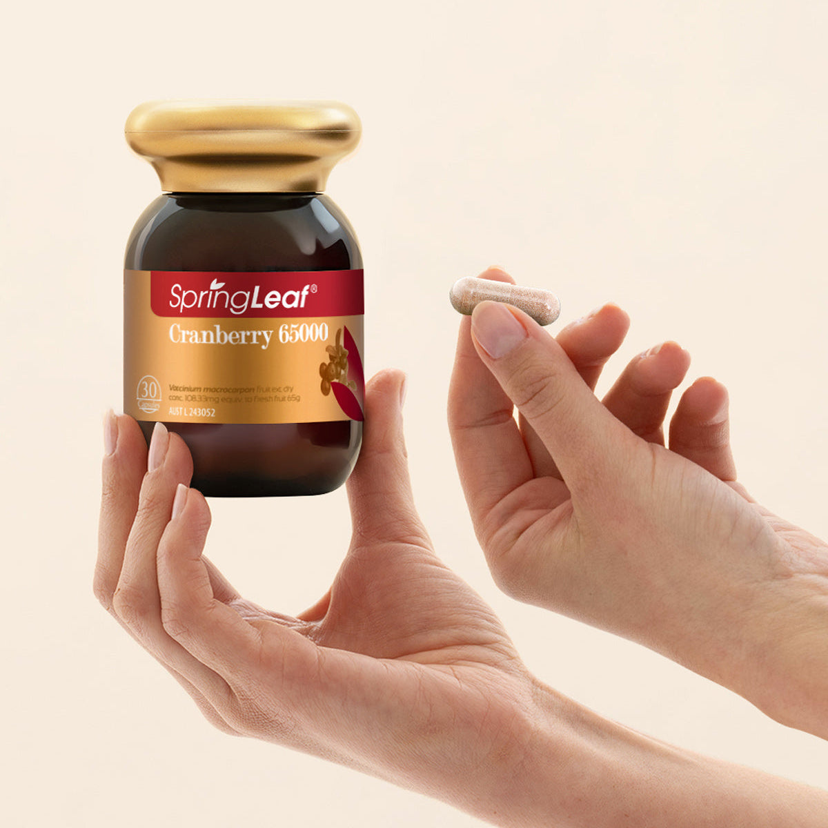 SpringLeaf Cranberry 65000mg