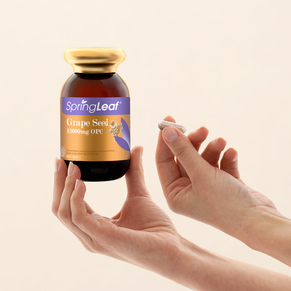 SpringLeaf Grape Seed 12000mg OPC – Springleaf AU