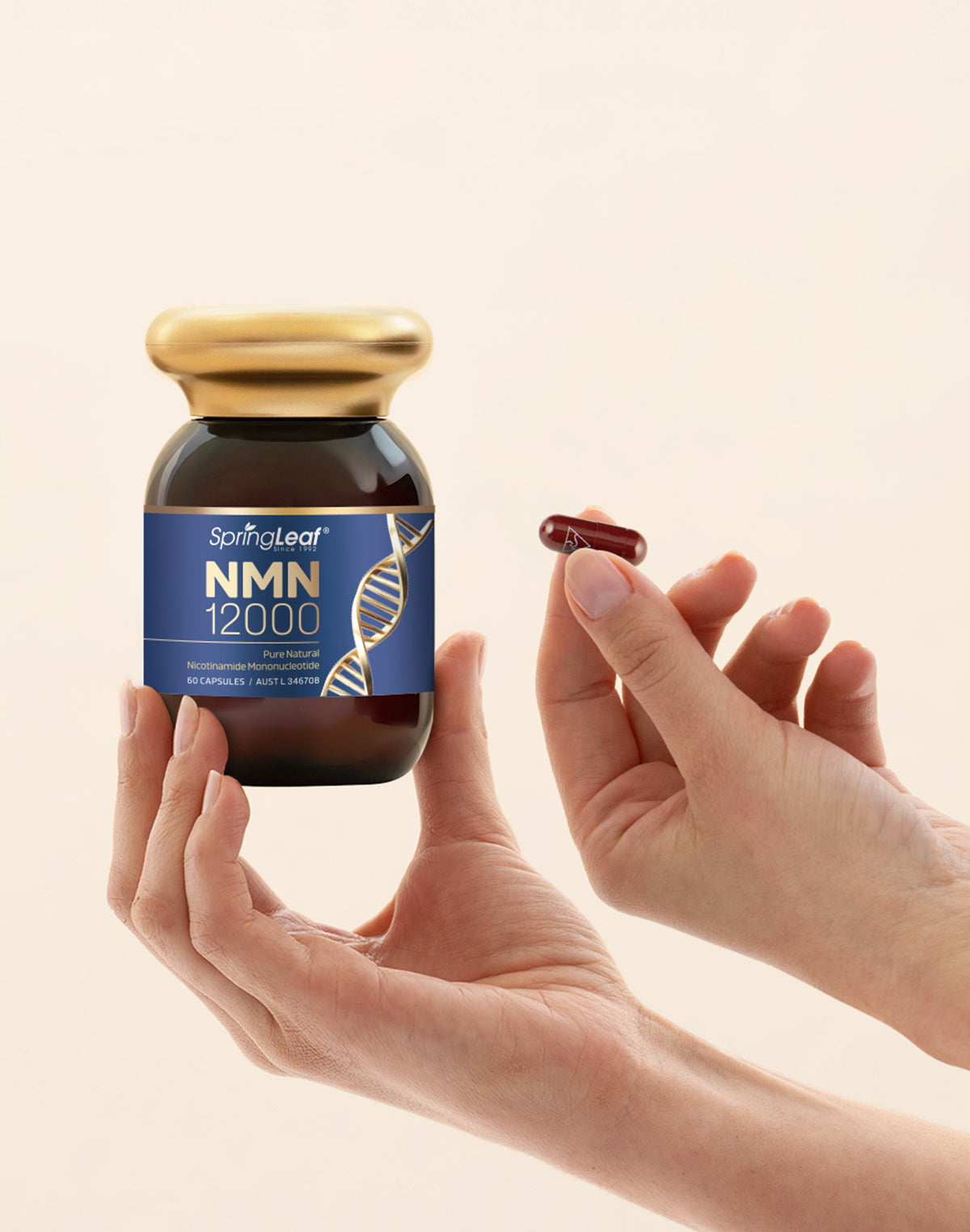 SpringLeaf® NMN 12000 (Export Only)